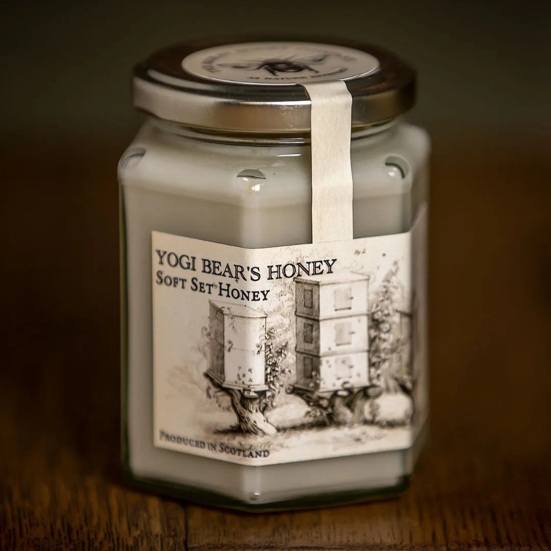 Yogi Bears - Soft Set Honey