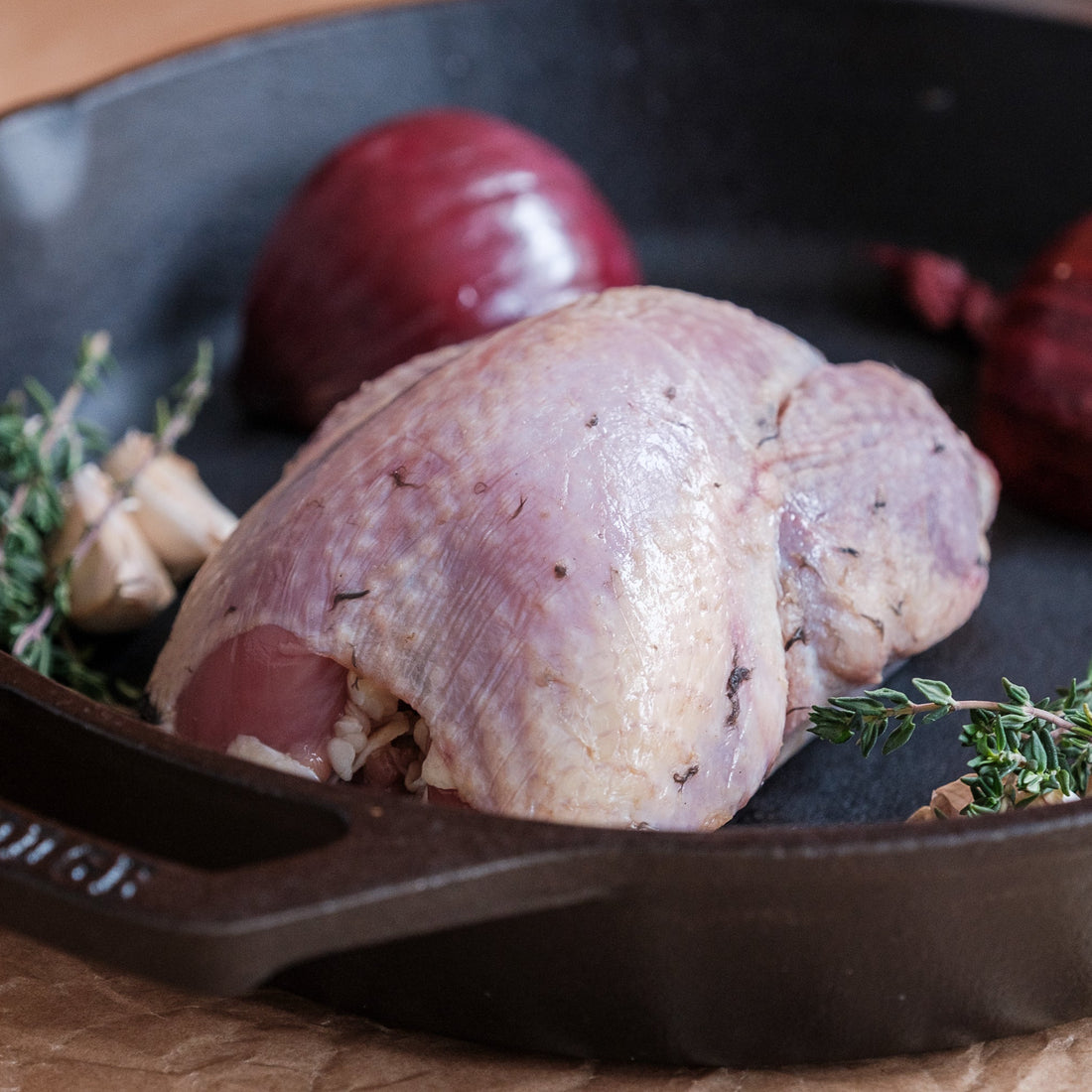 Partridge