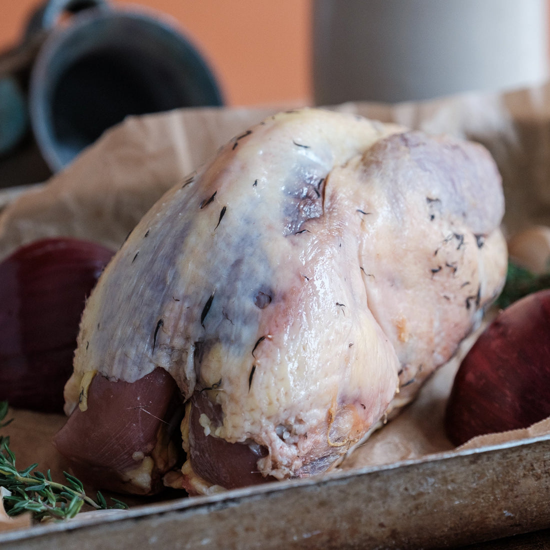 Pheasant