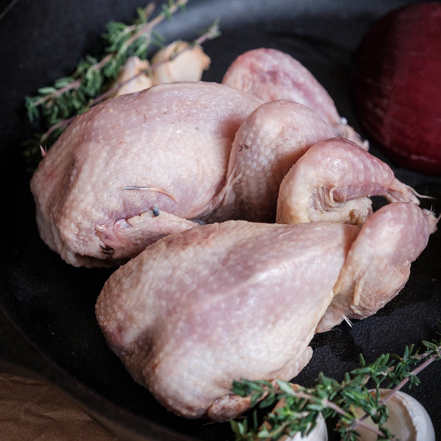 Quail
