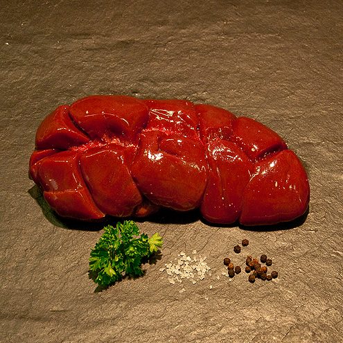 Ox Kidney