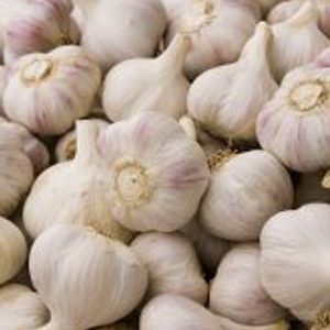 Really Garlicky Co Garlic Bulbs