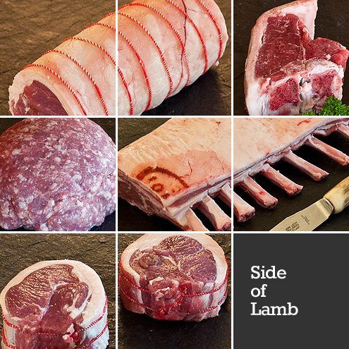 Side of Lamb