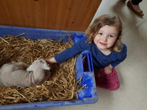 Tilly and Lamb