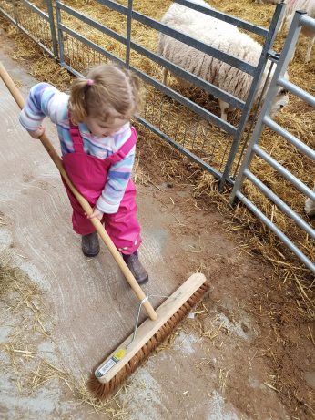 Tilly Cleaning